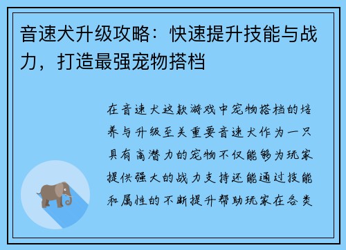音速犬升级攻略：快速提升技能与战力，打造最强宠物搭档